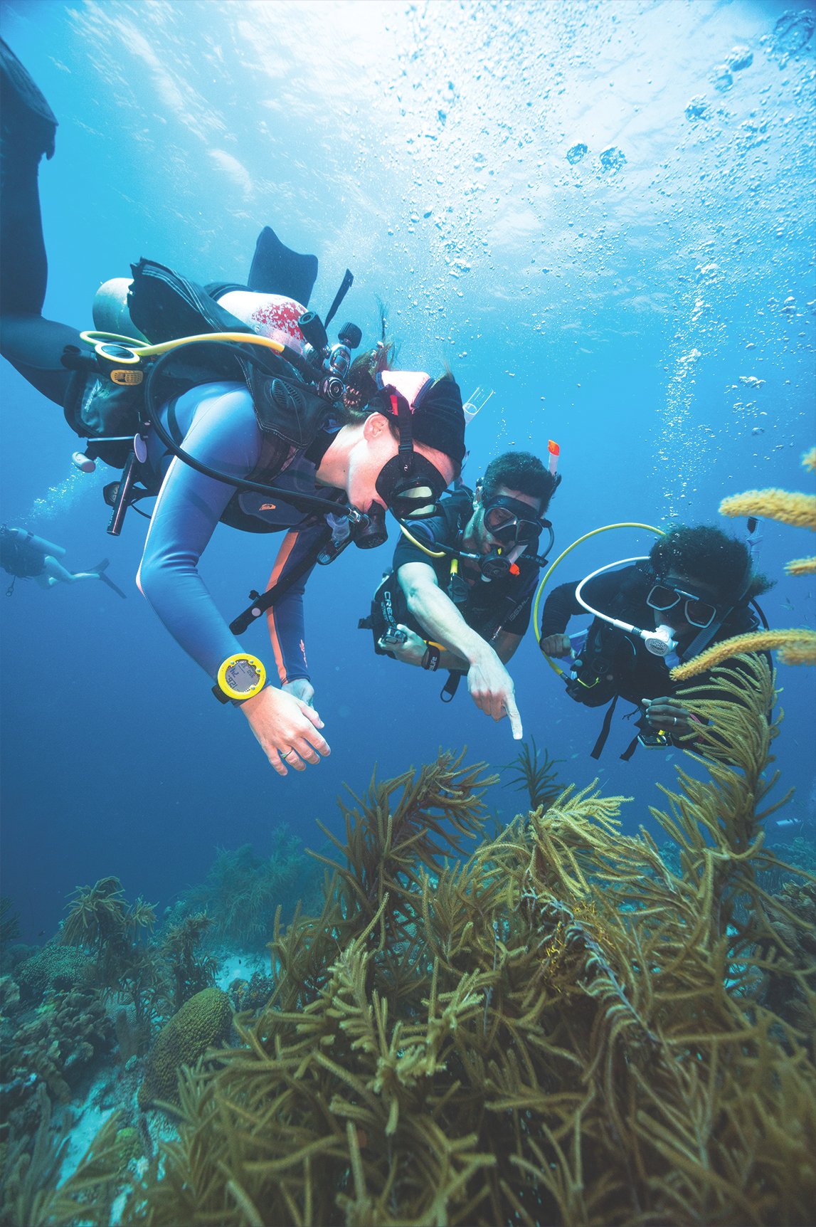DYVUM Advanced Open Water Diver students on Adventure Dives with instructor