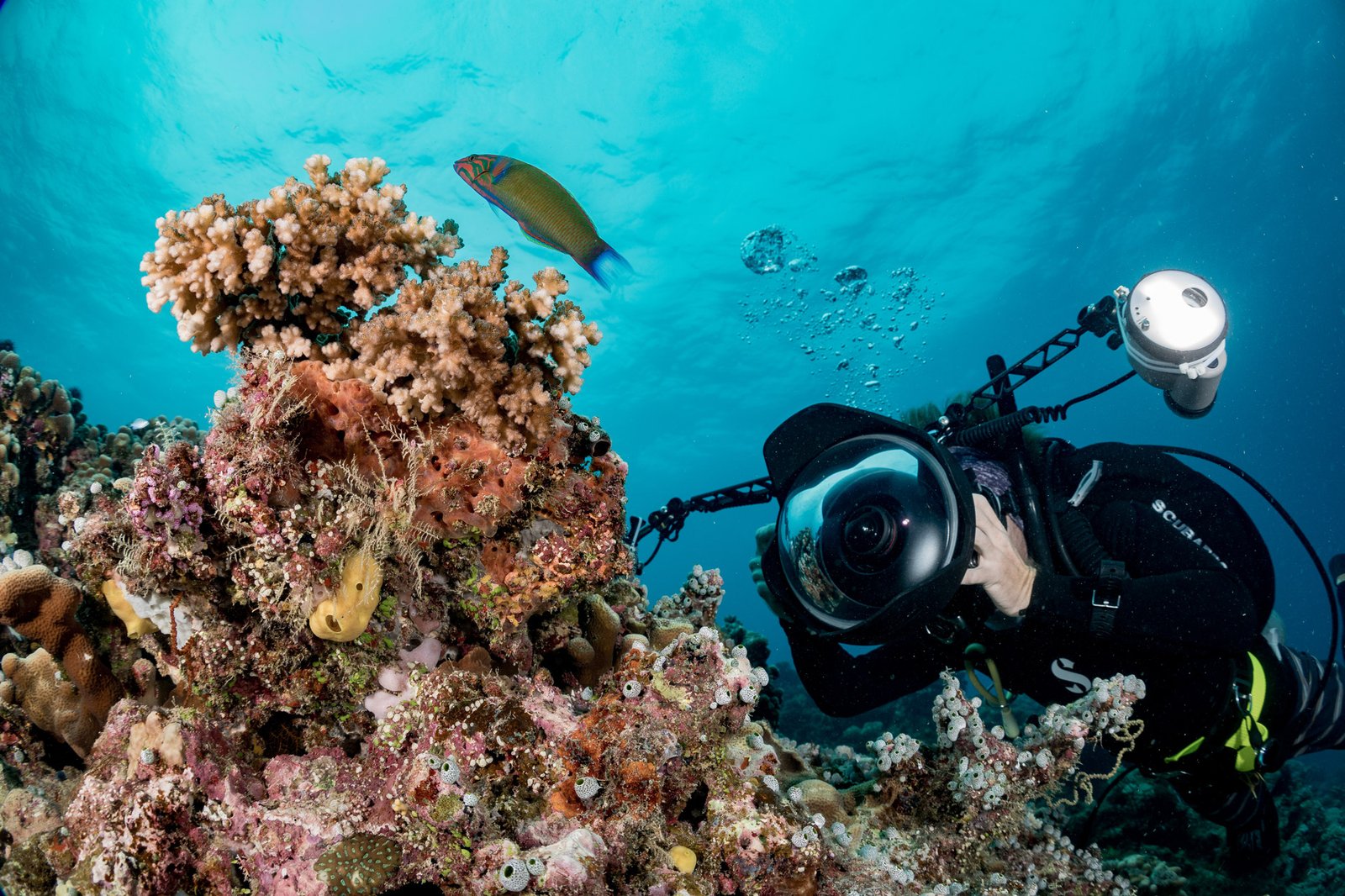 DYVUM Underwater Videographer diver filming coral reef with action camera