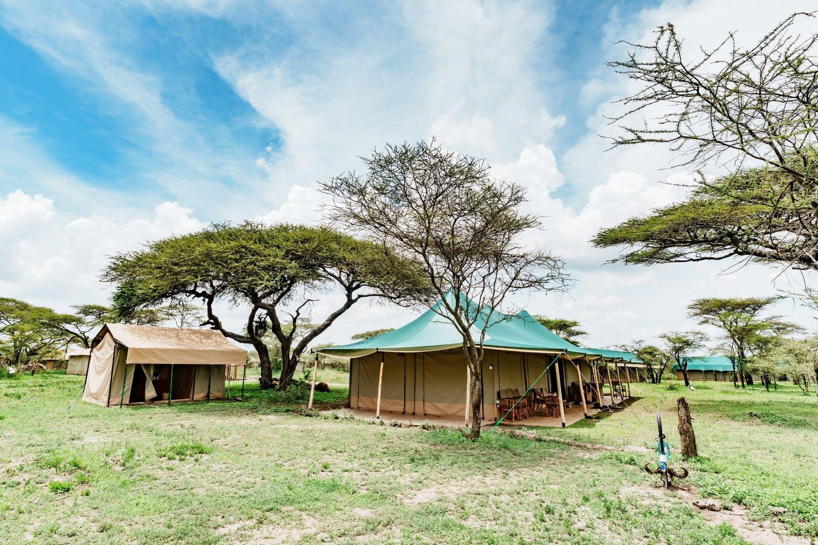 Aerial view of Porini Migration Camp tents, Ndutu, Tanzania