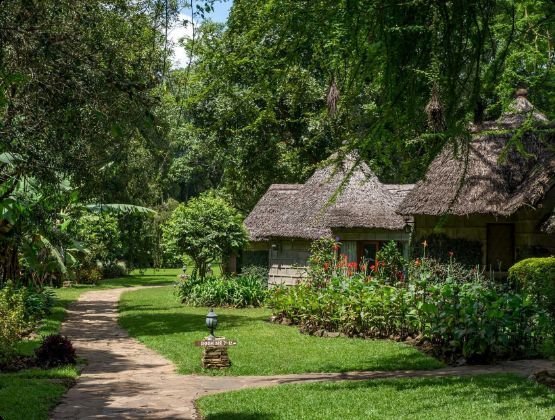 Garden path to a thatched cottage at Serena Arusha, Tanzania